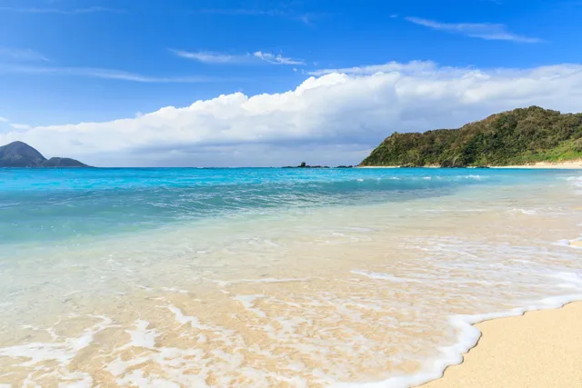 慰安旅行奄美大島ツアーの海