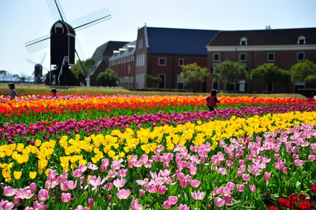 慰安旅行長崎ツアーハウステンボスの花畑